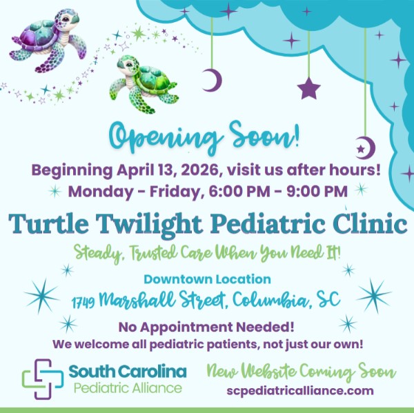 Turtle Twlight Hours